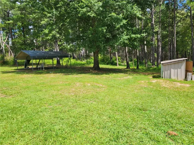 1019 County Road 284 N/a, Five Points, Alabama 36855