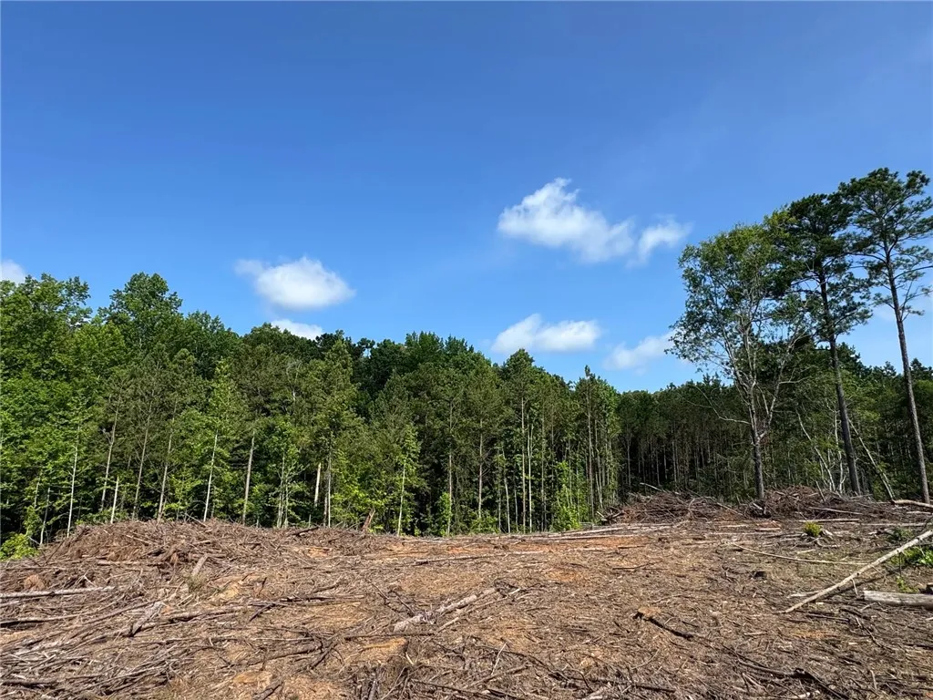 A spacious, cleared lot bordered by dense, mature trees, offering a prime building opportunity under an open sky.