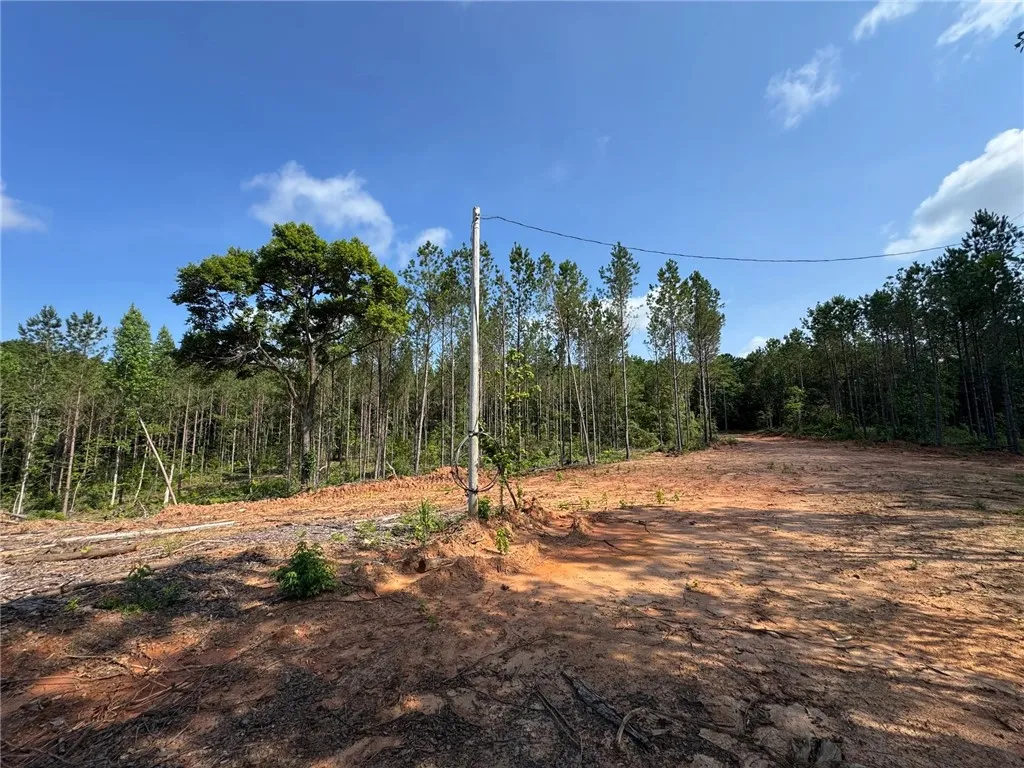 A cleared home site ready for development, surrounded by a natural forest backdrop.