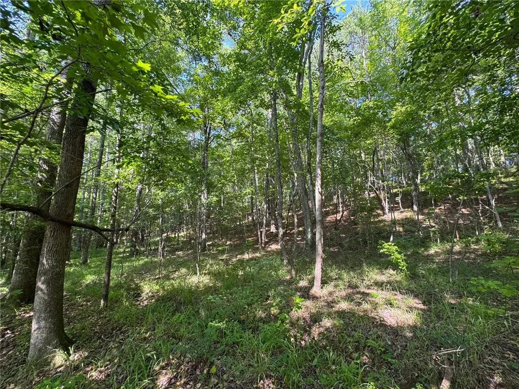 Vast, verdant woodlands offer a peaceful retreat and prime opportunity for development.