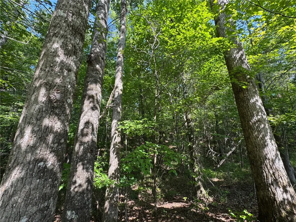 A tranquil wooded lot offers a private, natural setting.