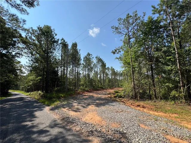 Mature trees line this spacious lot, offering a private setting for your future home.