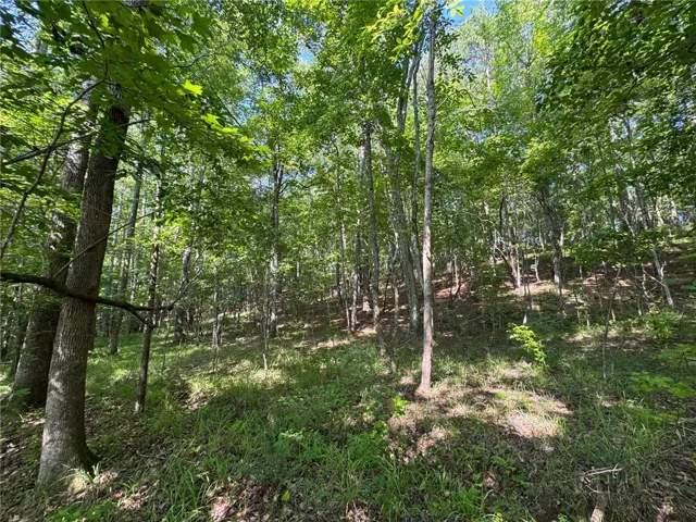 Vast, verdant woodlands offer a peaceful retreat and prime opportunity for development.