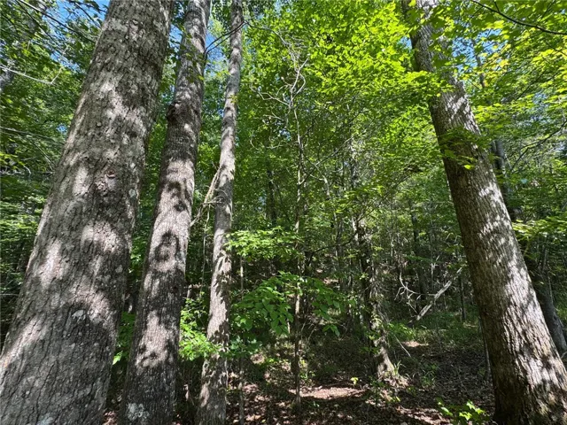 A tranquil wooded lot offers a private, natural setting.