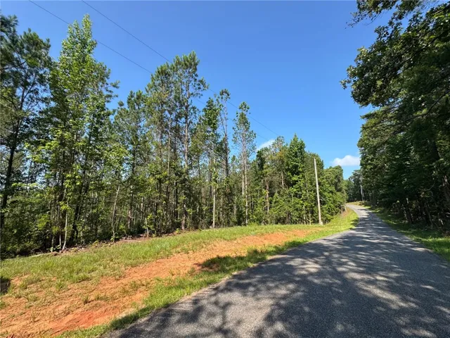 A tranquil, tree-lined road winds through a verdant landscape, offering a secluded building site.