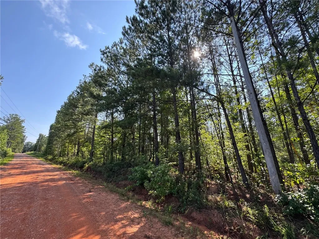 A tranquil wooded lot offers a peaceful setting for future development, bordered by a rustic dirt road.