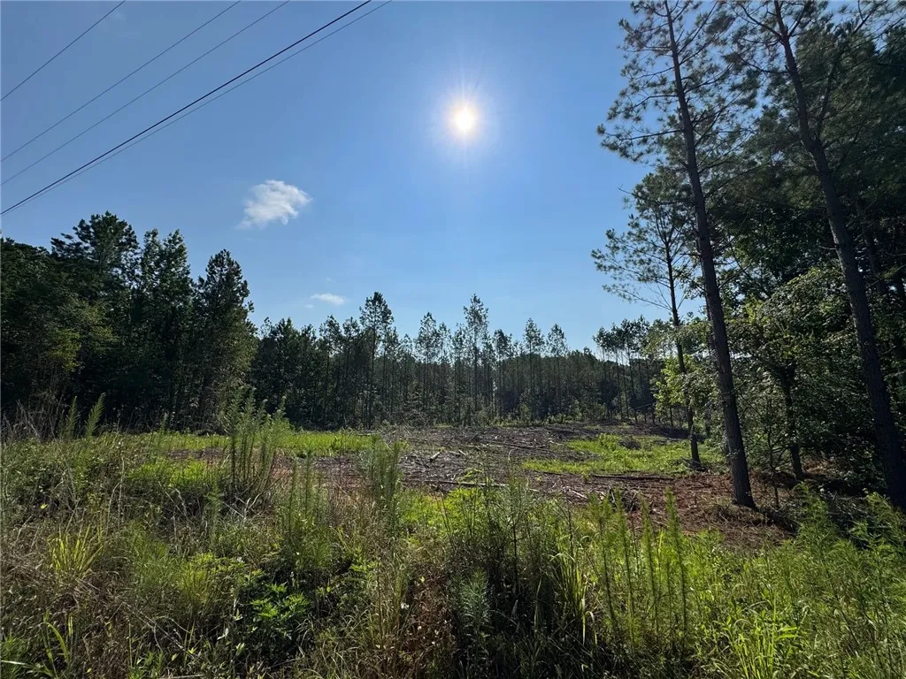 A spacious, partially cleared lot offers prime potential for new construction amidst a tranquil wooded setting.
