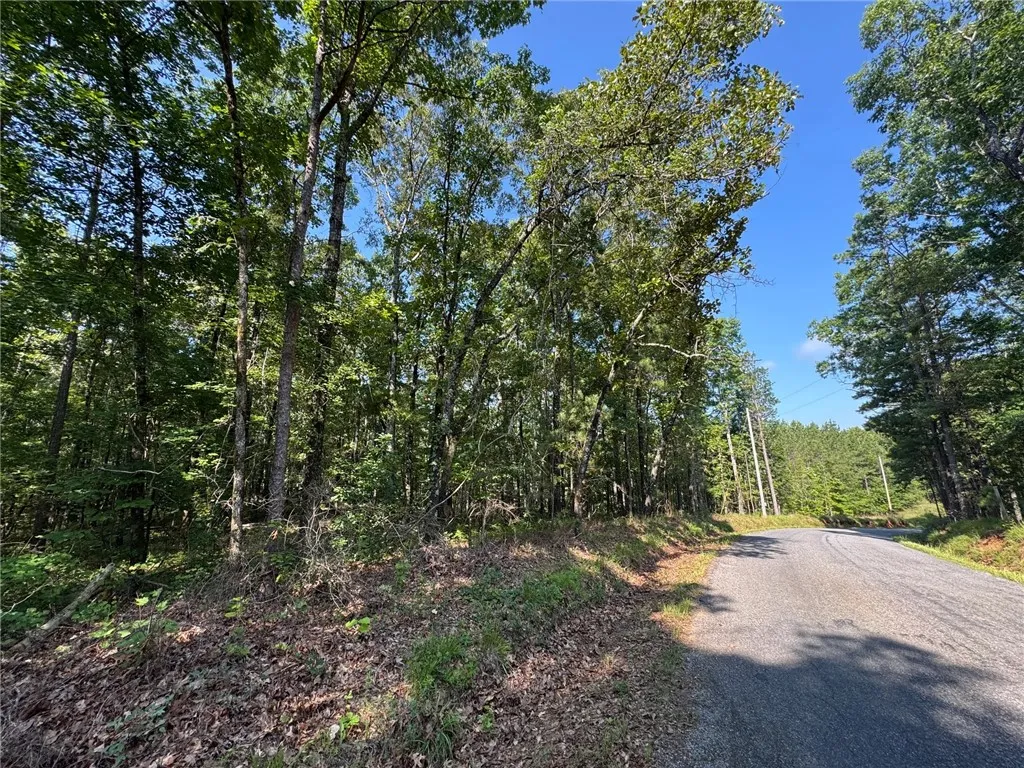 A verdant, tree-lined landscape offers a serene backdrop for a quiet country road.