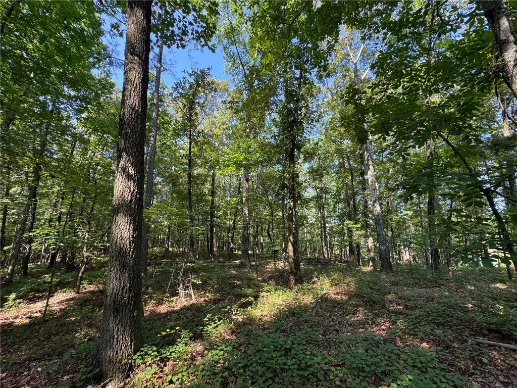 Mature trees and lush undergrowth define this tranquil, undeveloped lot, offering privacy and natural beauty.