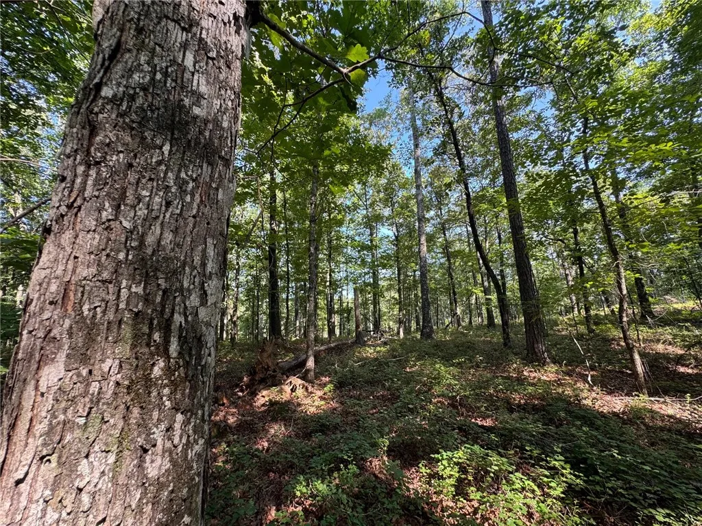 Natural woodlands offer a serene backdrop, perfect for a private sanctuary.