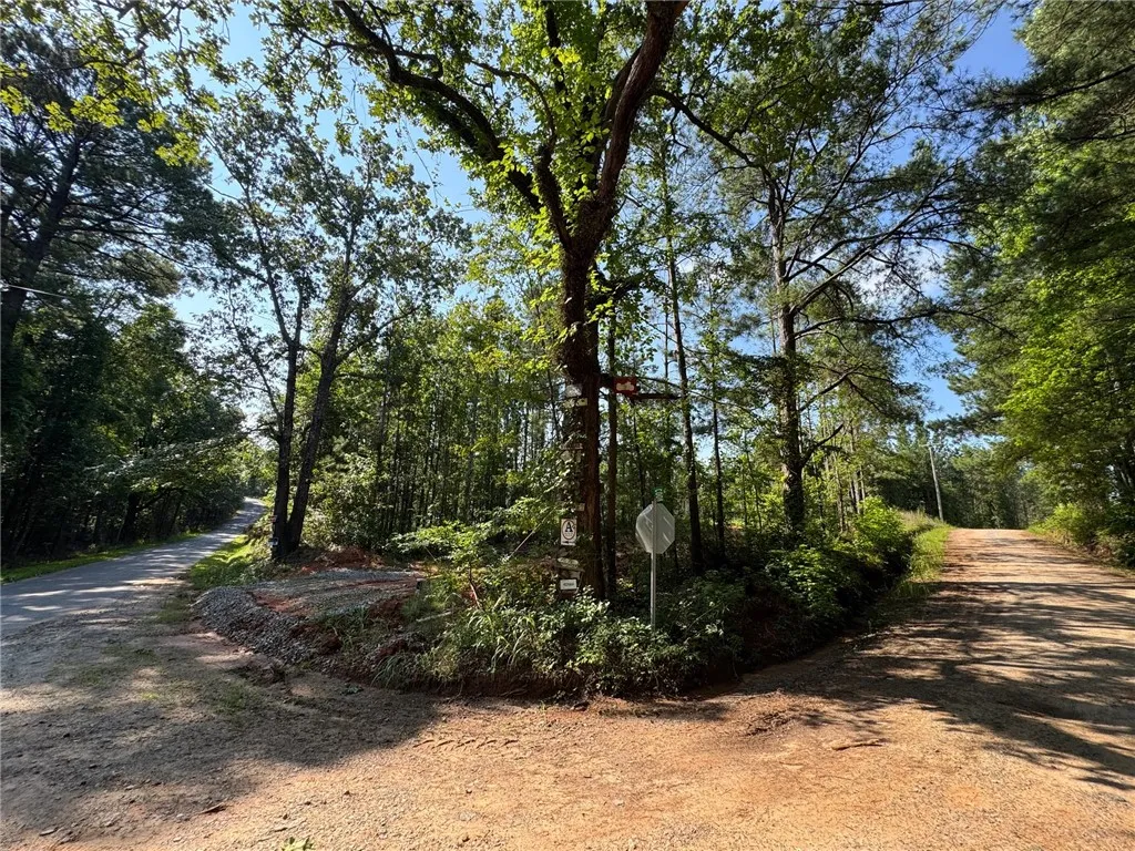A tranquil, wooded lot offers a private, secluded setting.