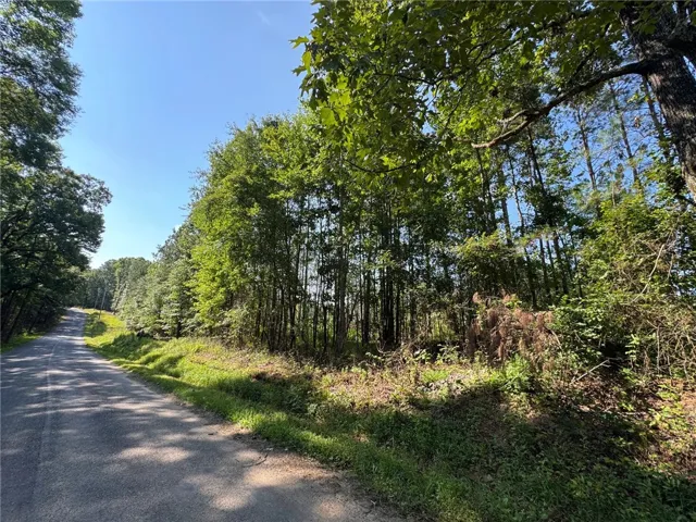 A tranquil, tree-lined road winds through a verdant landscape, offering a private, rural setting.