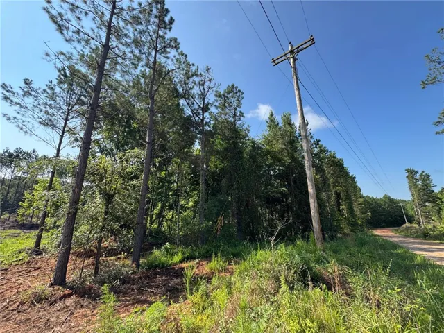 Mature trees and abundant natural growth define this spacious, ready-to-develop lot.