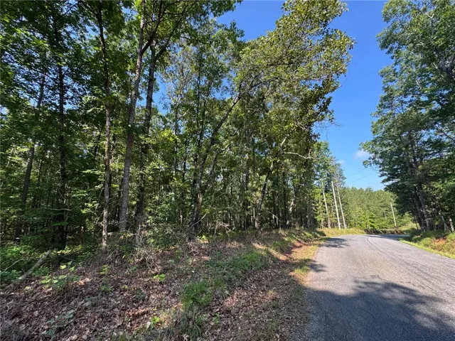 A verdant, tree-lined landscape offers a serene backdrop for a quiet country road.