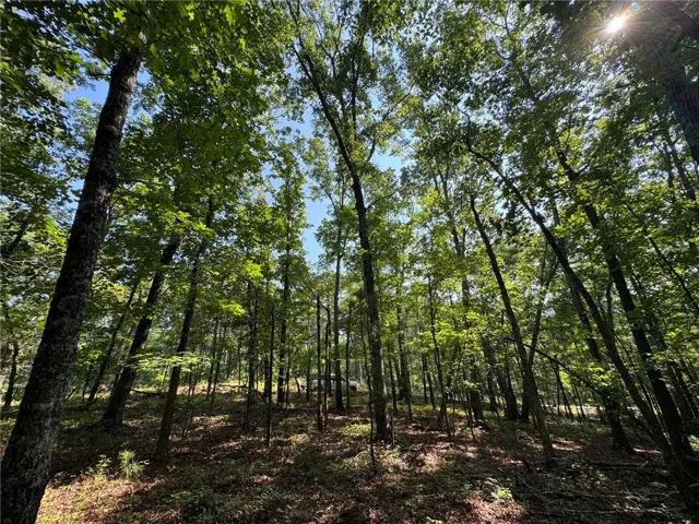 Mature trees cast dappled sunlight across this peaceful, private, wooded lot.