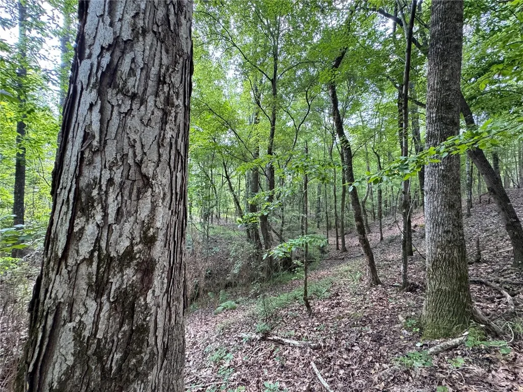 Mature trees and natural foliage create a secluded, wooded setting ideal for a private retreat.