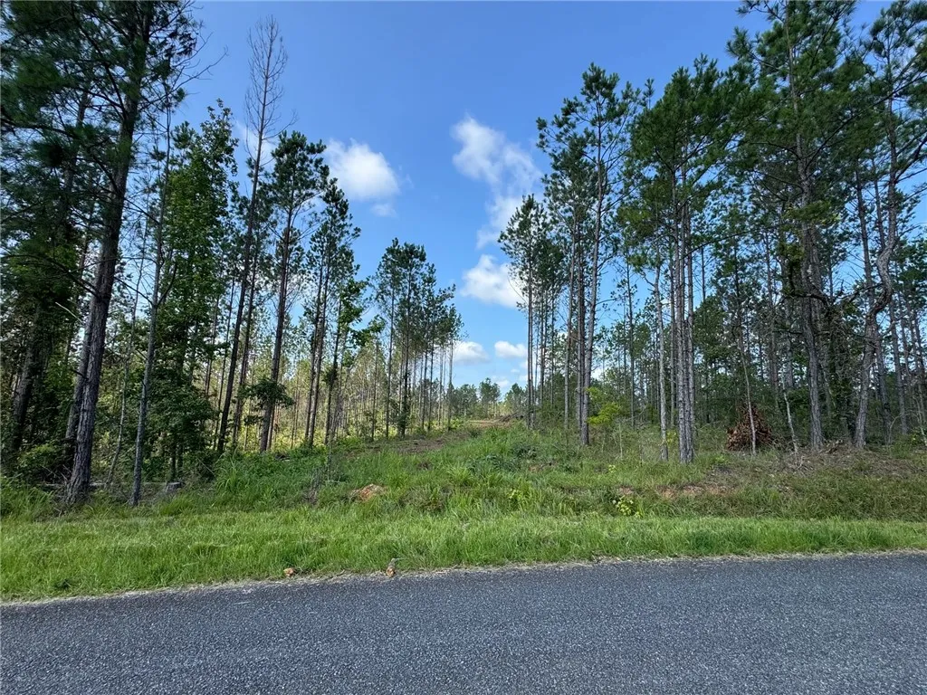 Mature pines frame this cleared lot, ready for your custom build.