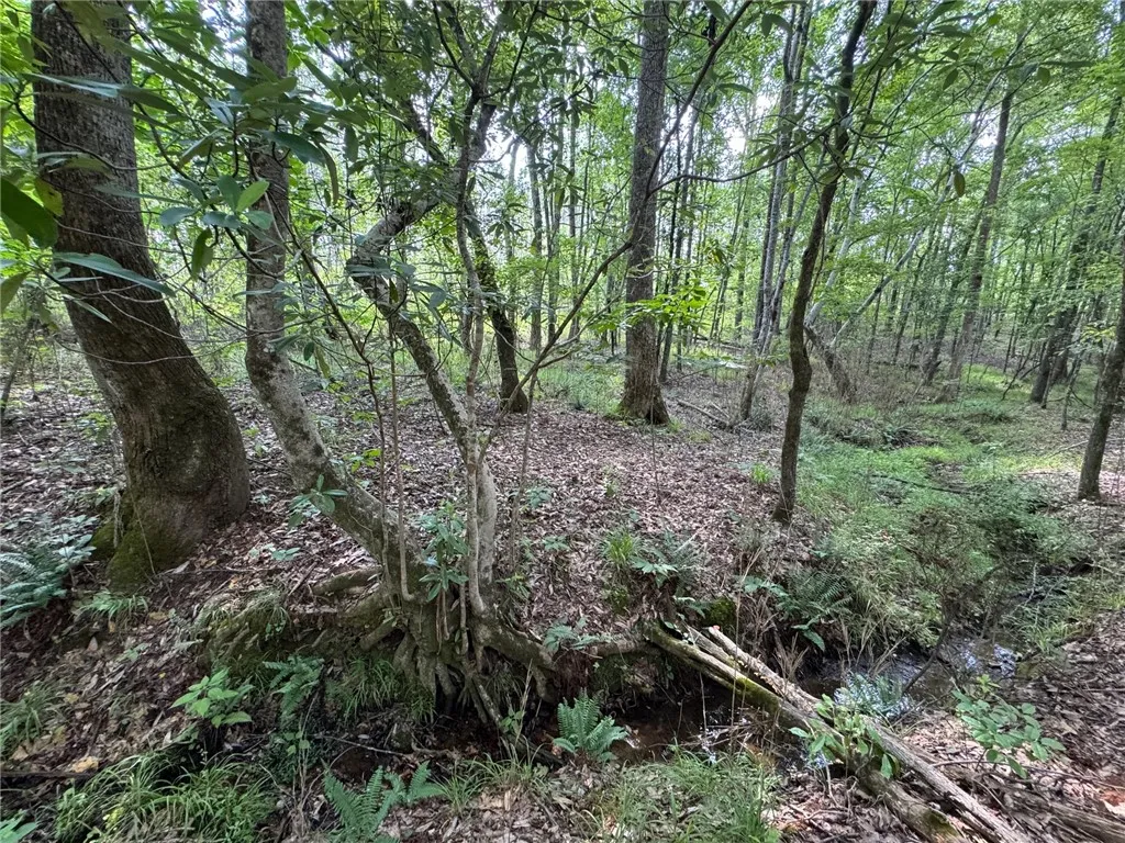A tranquil wooded lot offers a serene natural setting with a peaceful stream winding through.