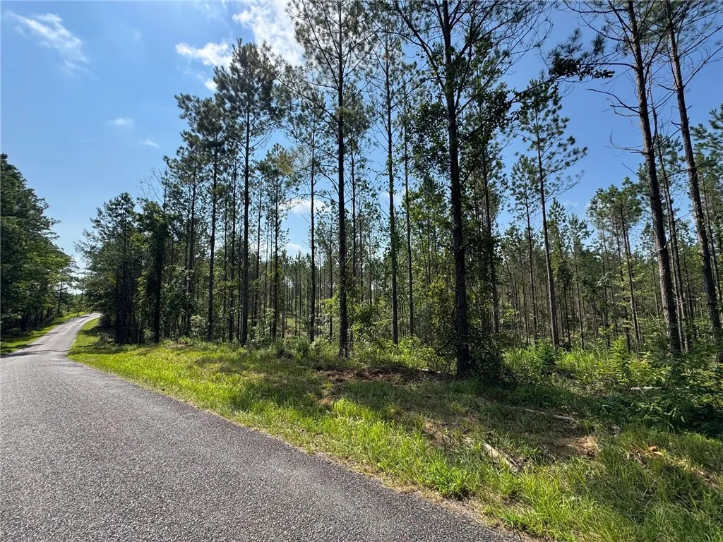 A tranquil, tree-lined road invites peaceful journeys through nature's embrace.
