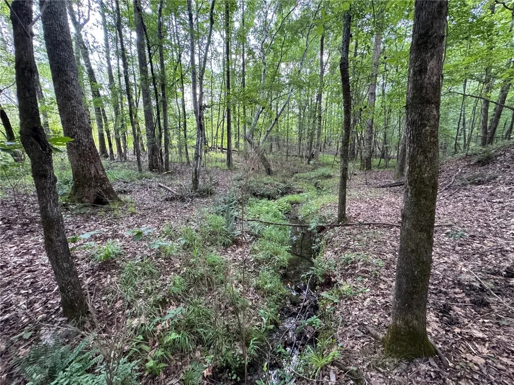 A tranquil wooded lot offers a meandering stream and mature trees, perfect for a private natural retreat.