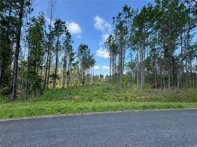 Mature pines frame this verdant plot, offering a serene woodland setting for a future home.
