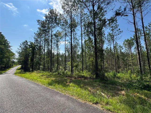 A tranquil, tree-lined road invites peaceful journeys through nature's embrace.