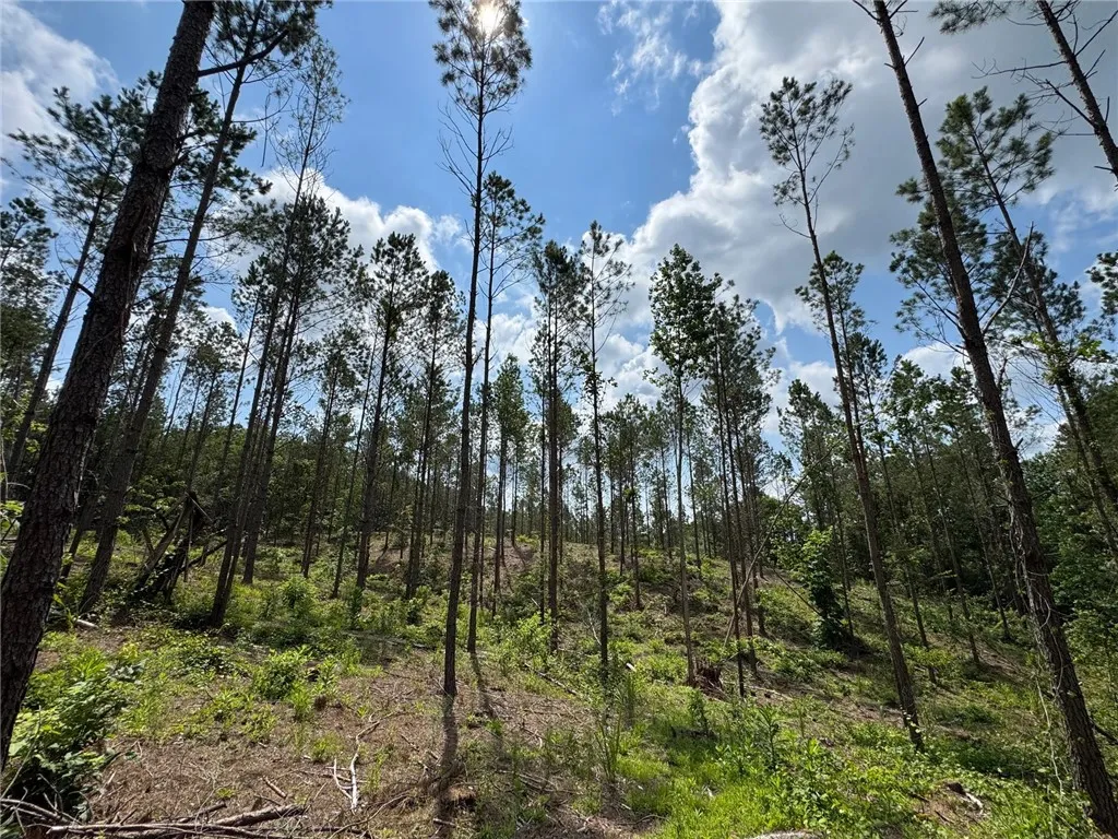 Mature pines populate this tranquil, wooded parcel, offering privacy and natural beauty.