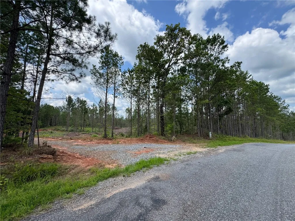 Mature trees line this expansive lot, presenting a promising canvas for development.