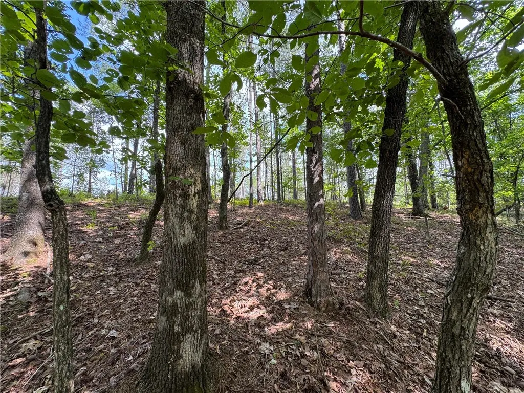 A tranquil wooded lot offers a peaceful retreat for your future home.