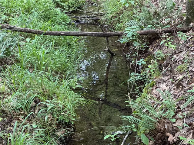 A tranquil stream meanders through a naturally vegetated landscape, featuring a rustic log bridge.