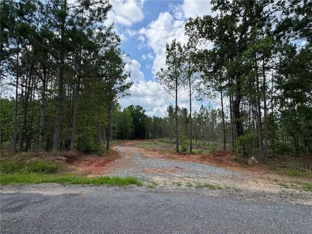 Mature trees frame a cleared lot, ready for your custom build with direct road access.