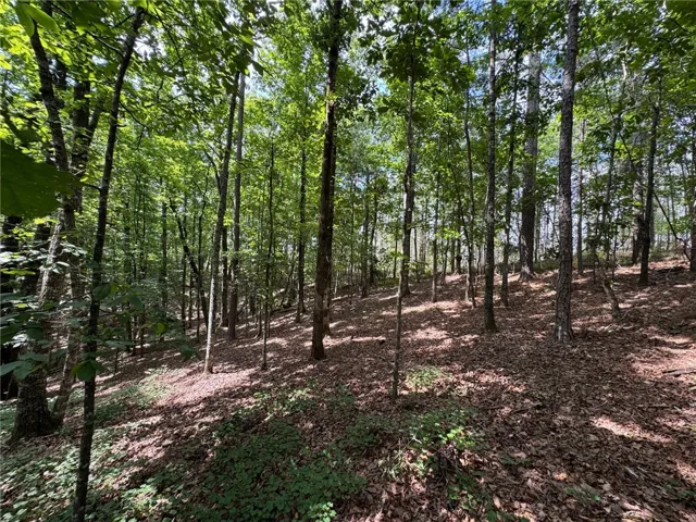 Discover a tranquil woodland retreat, perfect for building your dream home amidst mature trees and natural beauty.