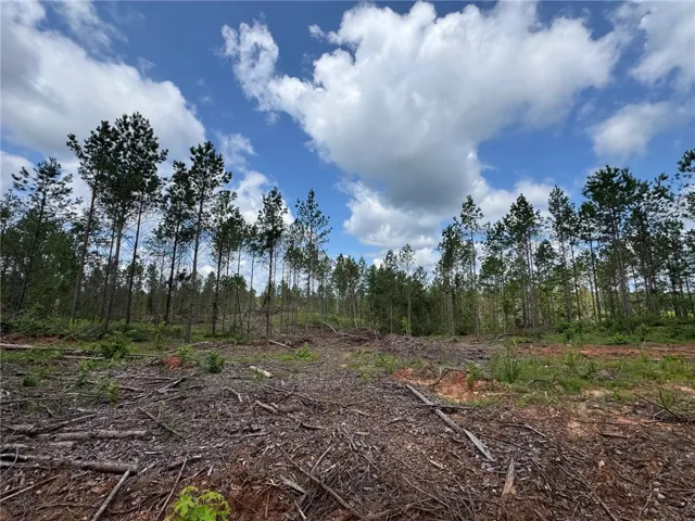 A secluded, treed parcel with ample space for a future home.