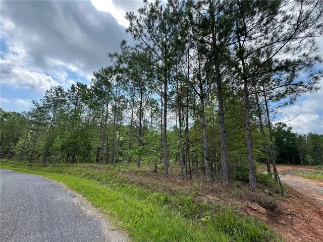 Mature trees line the property, providing natural seclusion and a verdant backdrop.