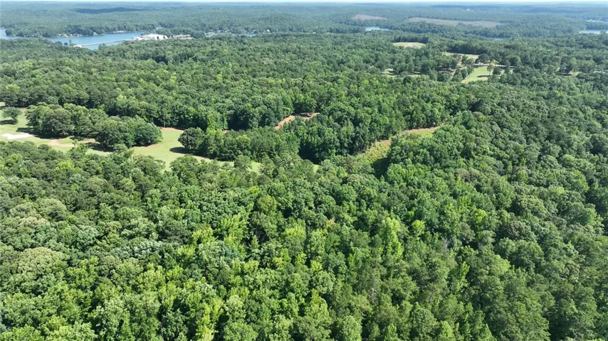 0 Moonbrook Drive, Dadeville, Alabama 36853