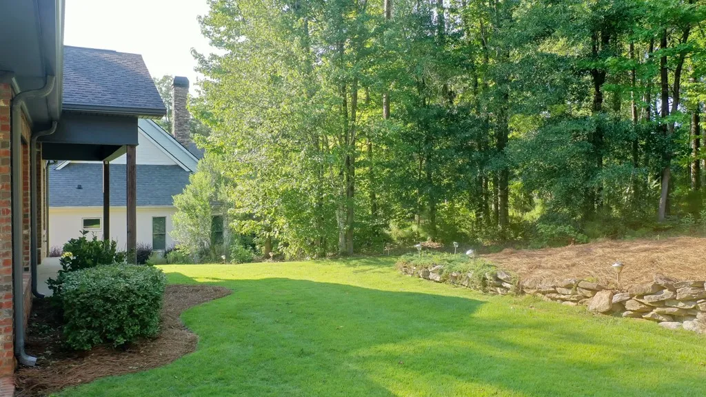 Low Maintenance Yard