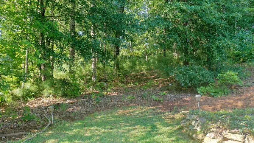 Wooded Yard