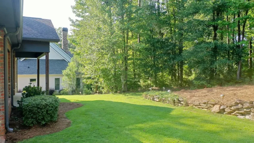 Low Maintenance Yard