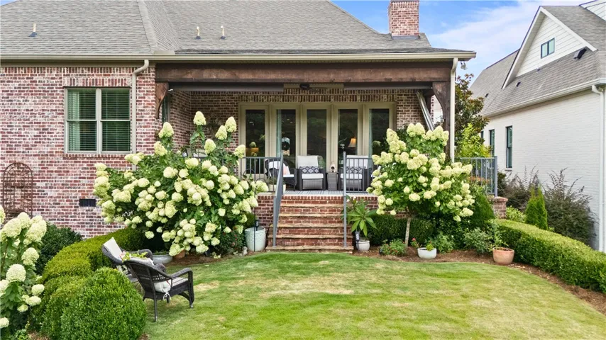 Limelight hydrangeas provide a specular display of blooms throughout the season