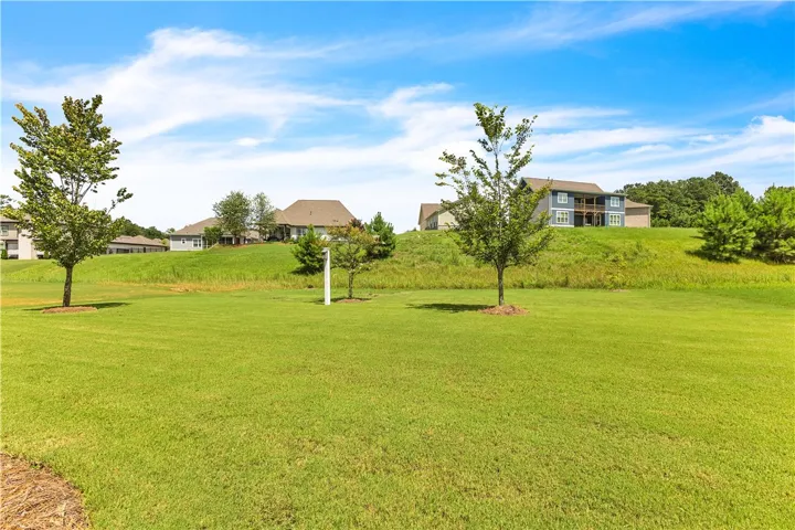 Large back lawn