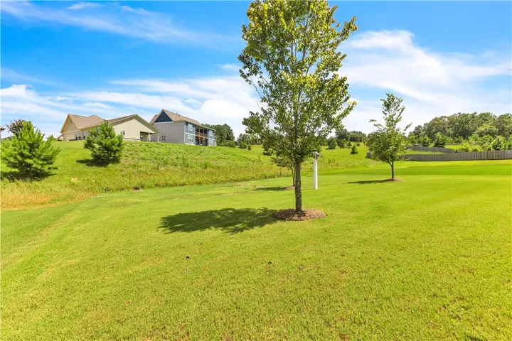 Well maintained back lawn