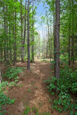 trail path to acreage