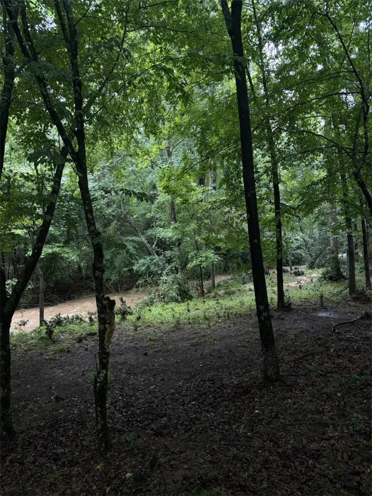 An untamed, woodsy landscape borders a natural stream, offering a peaceful, private retreat.