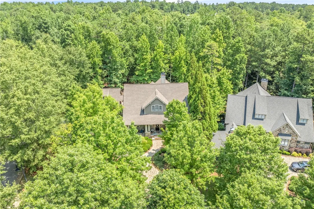 Home in the trees