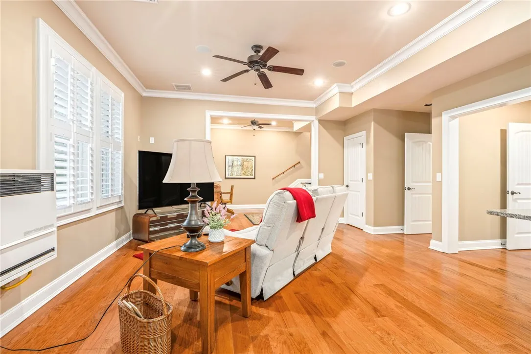 Basement Living Room