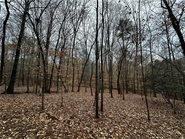 0 Lee Road 367 N/a, Valley, Alabama 36854