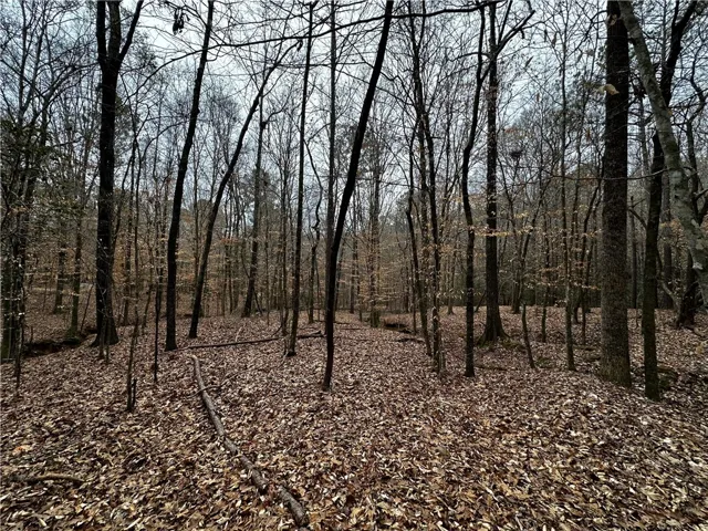 0 Lee Road 367 N/a, Valley, Alabama 36854