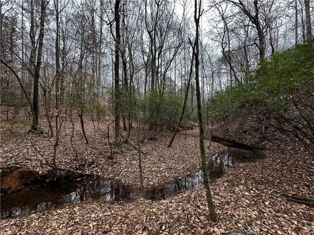 0 Lee Road 367 N/a, Valley, Alabama 36854