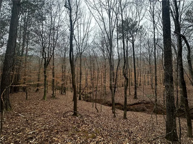 0 Lee Road 367 N/a, Valley, Alabama 36854