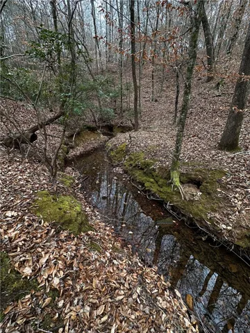0 Lee Road 367 N/a, Valley, Alabama 36854